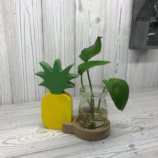 Hydroponic Home Décor - Peanaple Pot