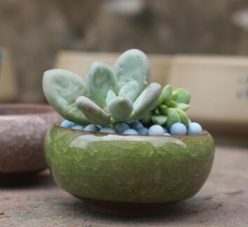 Ningus Ceramic Planter